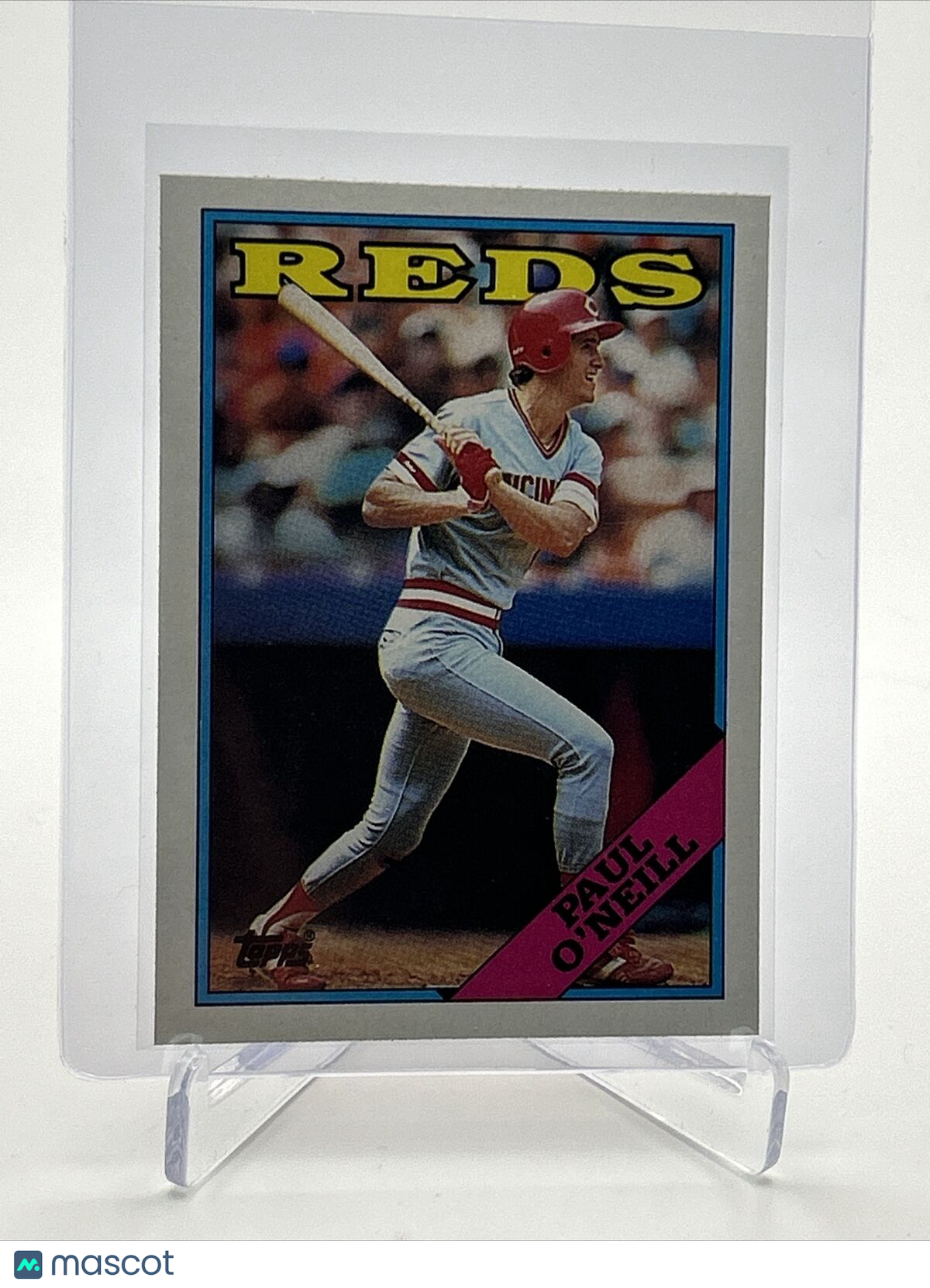 1988 Topps Paul O'Neill Baseball Card #204 Mint FREE SHIPPING